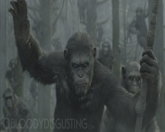 apes