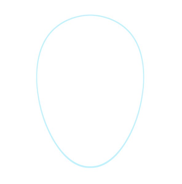The head outline. 
