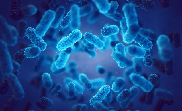 Image depicting bacteria — photo used in the "What Are Microbes?" blog post.