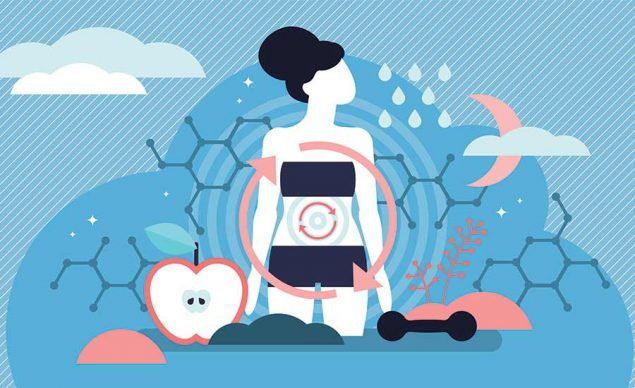 Stock photo illustrating how metabolism works and what affects it. Image used in the “What Is Cellular Metabolism? Here's All You Need To Know” blog post.