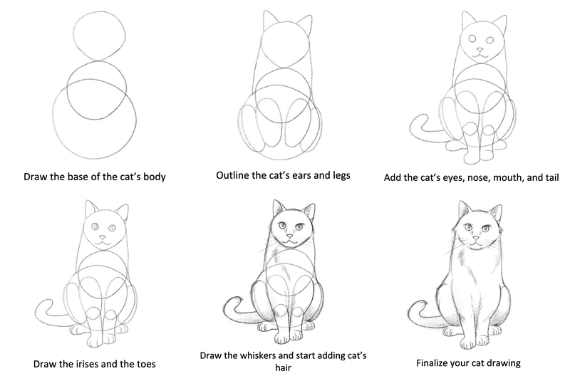 A collage of all the how-to-draw-a-cat steps.