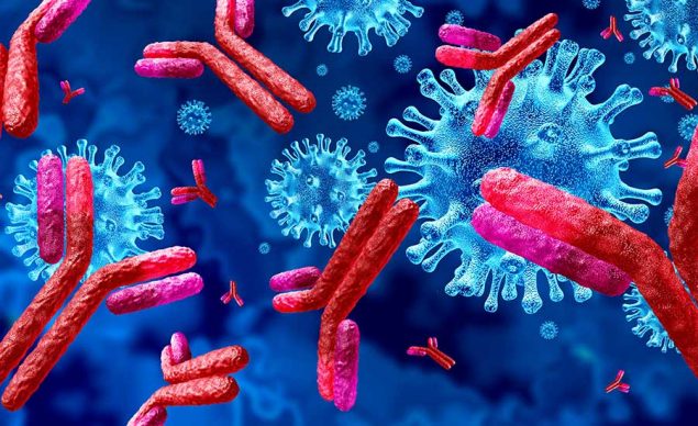 Stock image showing antibodies attacking viruses. Image used in the “What Types Of Antibodies Exist & How They Keep You Healthy” blog post.