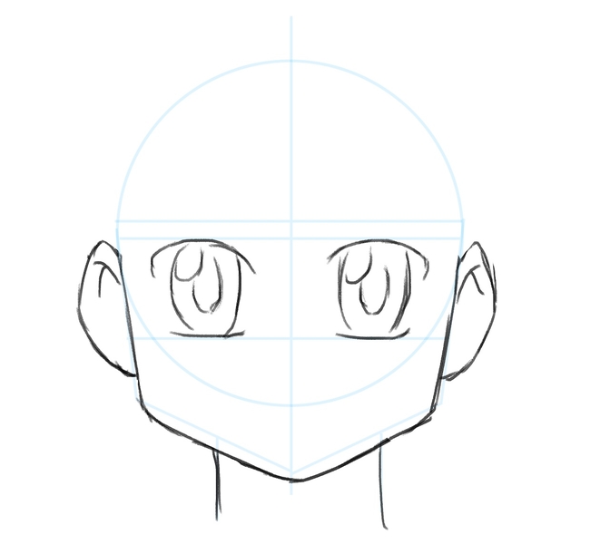 Illustration of the eyes.​