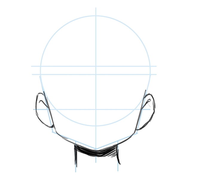 Illustration of the ears.​