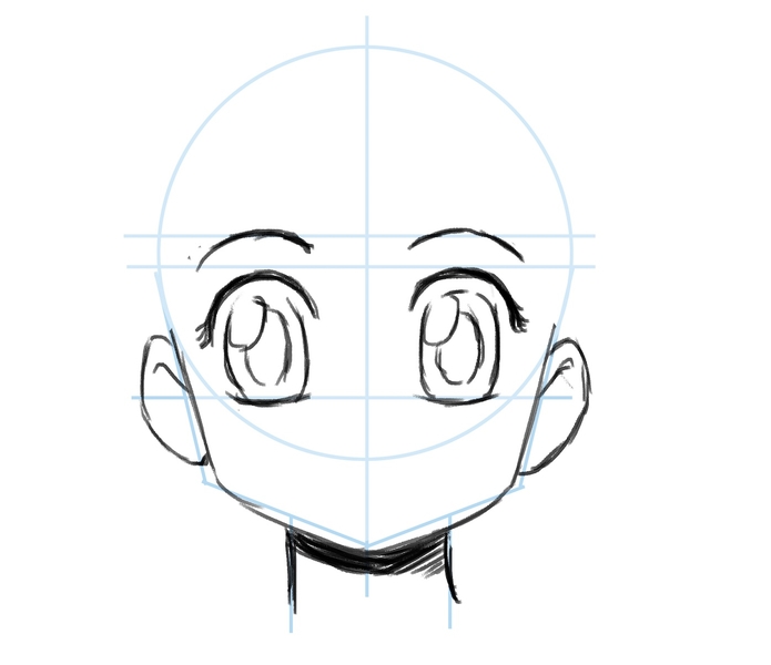 Illustration of the eyebrows.​