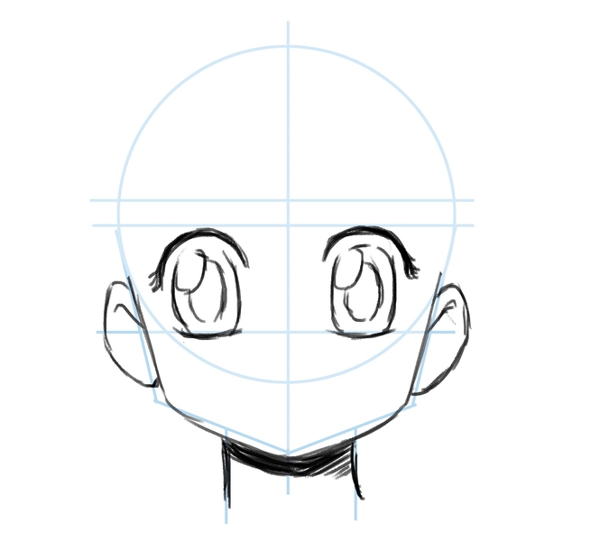 Illustration of the eyes.​