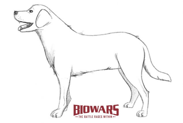 Drawing of a dog from the side. Image used in the “How To Draw A Dog” blog post.​