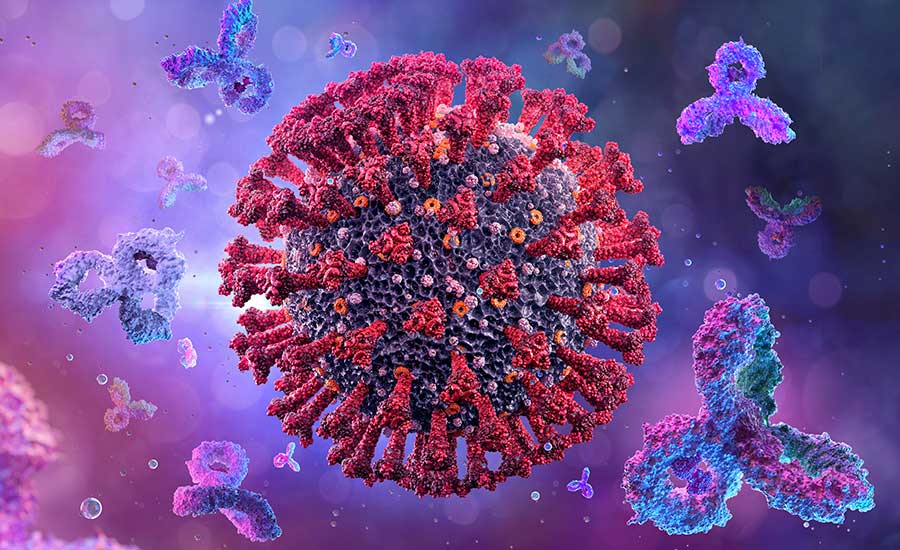 A 3D depiction of antibodies attacking a corona virus cell. ​