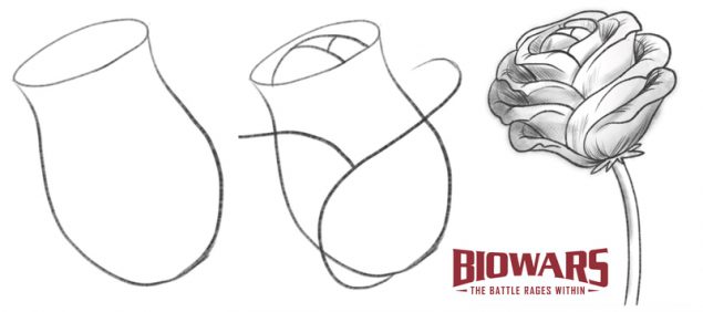 Collage of three custom illustrations showing the steps to drawing a rose. Image used in the “How To Draw A Rose” blog post.