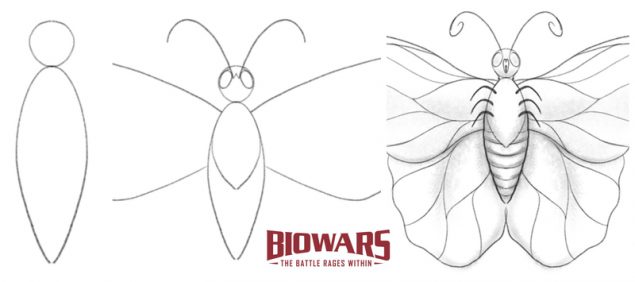 A collage of three illustrations that represent the steps of drawing a butterfly. Image used in the "Butterfly Drawing: A Beginner’s Guide In 8 Easy Steps" blog post.​