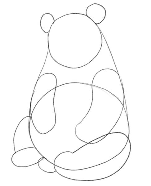 The panda’s rear legs are thick and strong. Its tail looks like an oval shape and is added between the panda’s legs.​