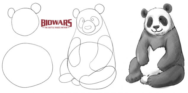 A collage of three images showing the process of drawing a panda from start to finish. Image used in the “Easy Panda Drawing Guide In 5 Steps [Video + Illustrations]” blog post.​