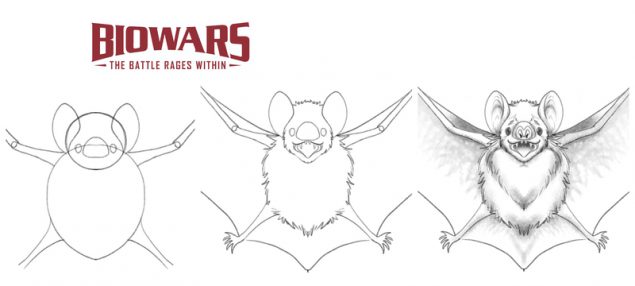 A collage of three images depicting the process of drawing a bat. Image used in the “Simple Bat Drawing Guide In 7 Steps [Video + Images]” blog post.​