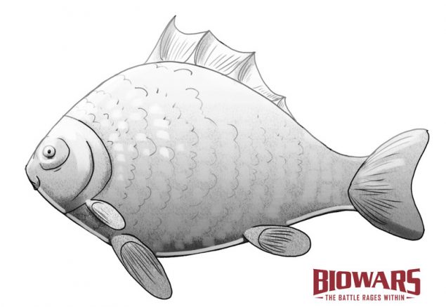 The finished drawing of a fish. Image used in the “Fish Drawing Guide: 6 Steps For Beginners [Video + Images]” blog post.​