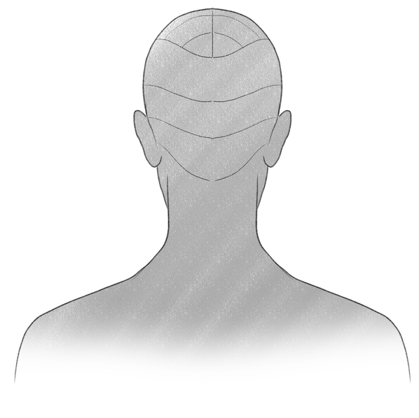 A drawing of a man depicted from the back with the top layer of his hair further segmented into several parts.​