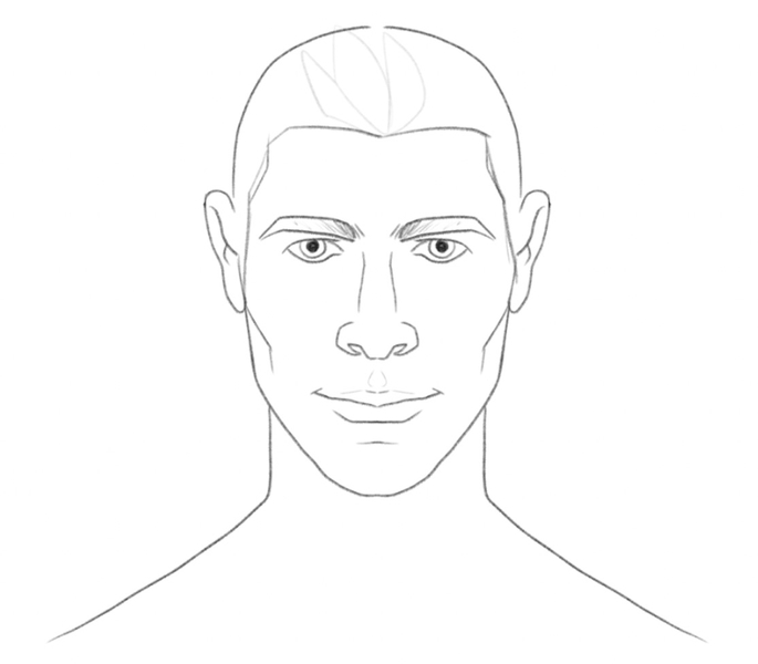 The outline of the front part of the hair. ​