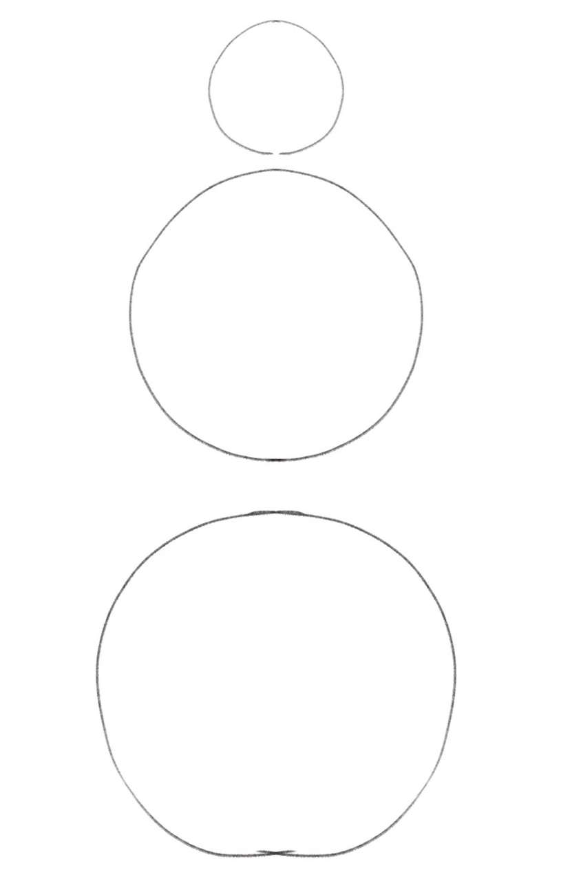 Three circles of different sizes — the first is the smallest while the third is the largest of the three. ​