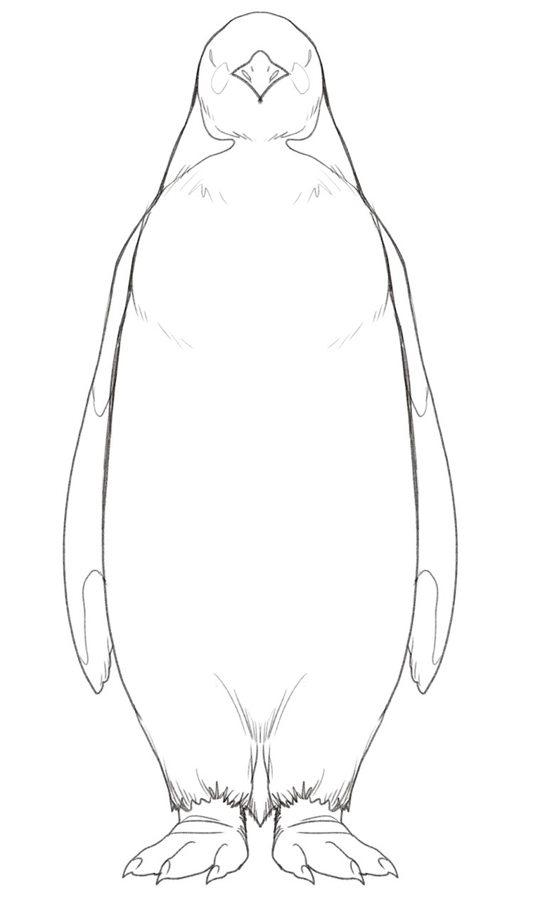 Unneeded lines are erased from the penguin drawing. ​