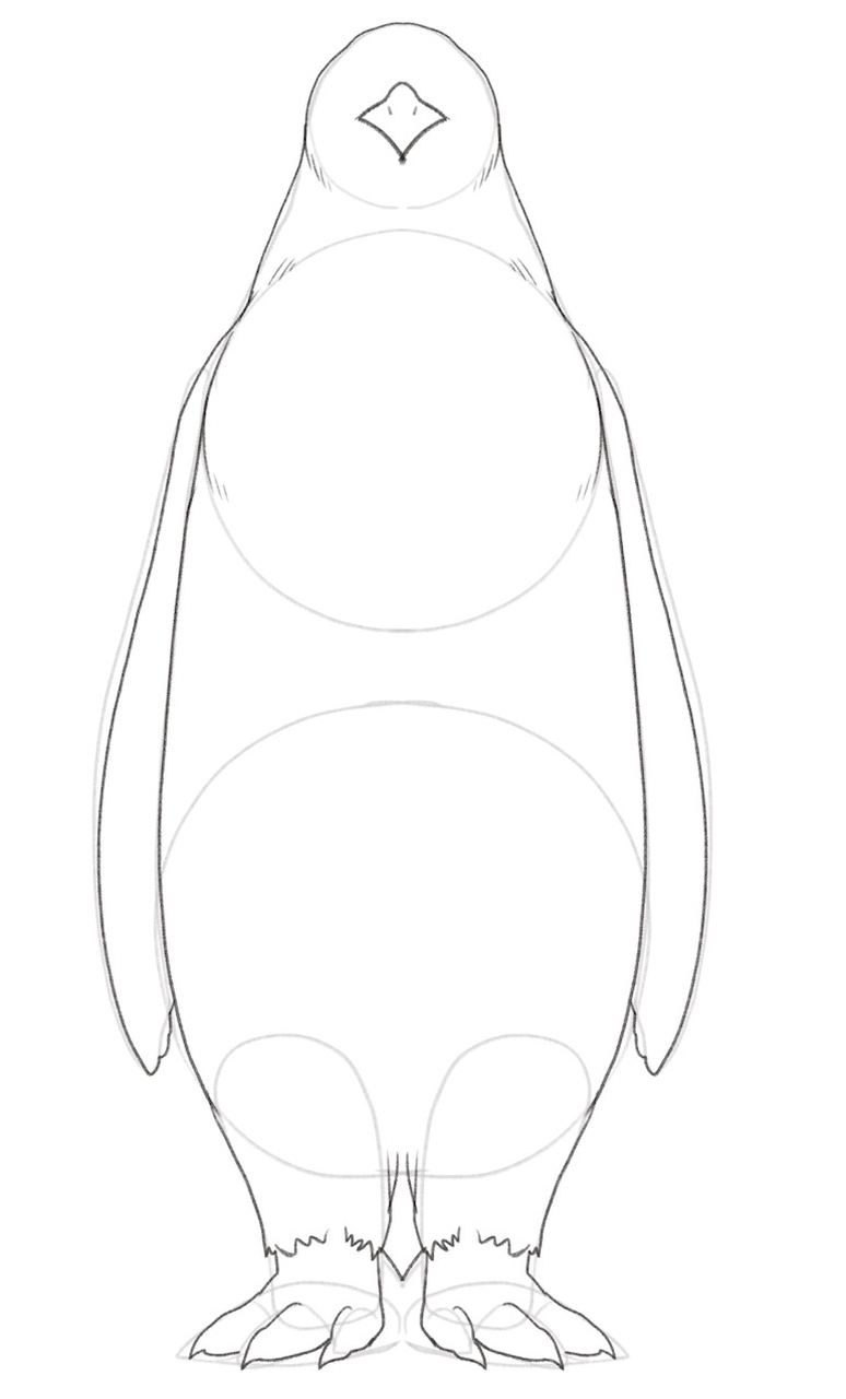 Penguin with sharp claws at the ends of its feet. ​