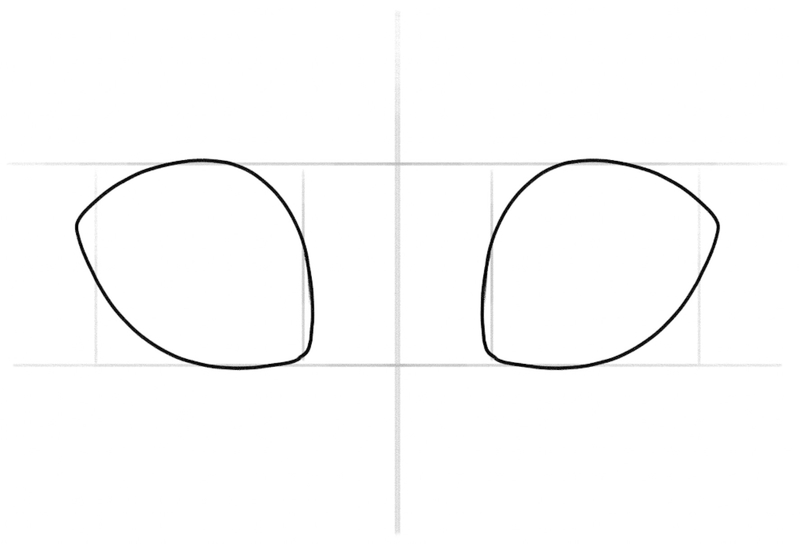 Outer outlines of the big anime eyes.