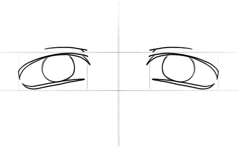 The irises and upper eyelids. 