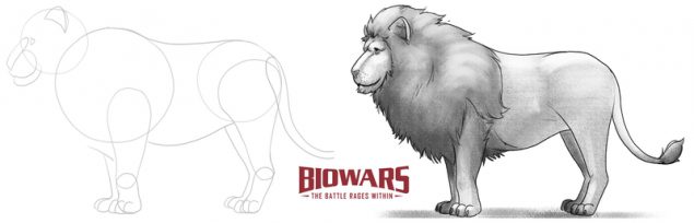 A collage of two images showing the steps of lion drawing. Image used in the “Lion Drawing Guide In 5 Steps [Video + Images]” blog post.