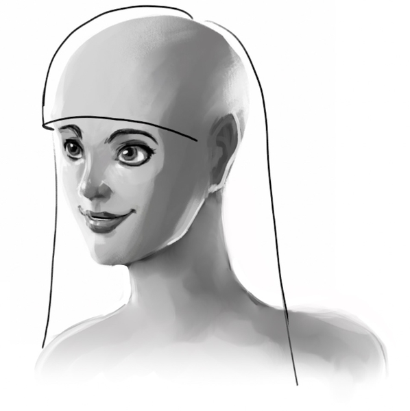 Outline of the hair at the front and back. 
