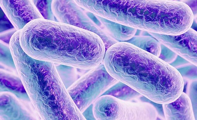 Rod-shaped bacteria. Image used in the “Bacterial Cell 101: All You Need To Know About Bacteria” blog post.​