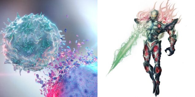 A collage made of a stock image depicting a 3D natural Killer cell destroying a cancerous cell and the illustration of Cytox – a Natural Killer Cell from the BIOWERSE. Image used in the “How Do Natural Killer Cells Function & Impact Your immunity?” blog post.