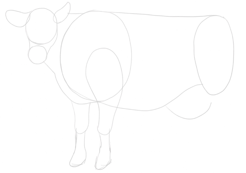 Front thighs are added to the sketch.​
