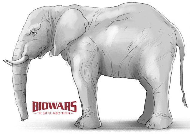 A finished drawing of an elephant. Image used in the “Elephant Drawing In 6 Steps For Beginners [Video + Images]” blog post.​