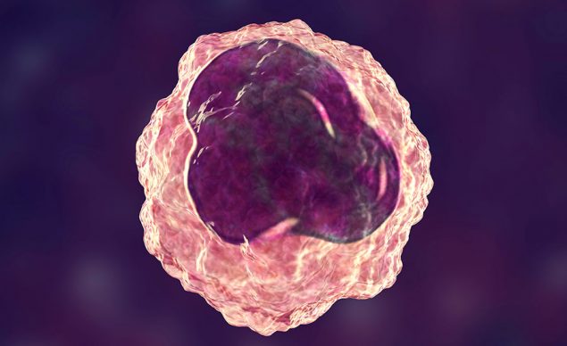 A stock image showing a 3D monocyte. Image used in the “Monocytes 101: Types, Functions And Importance” blog post.​