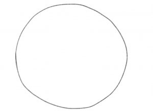 Drawing of a circle.​