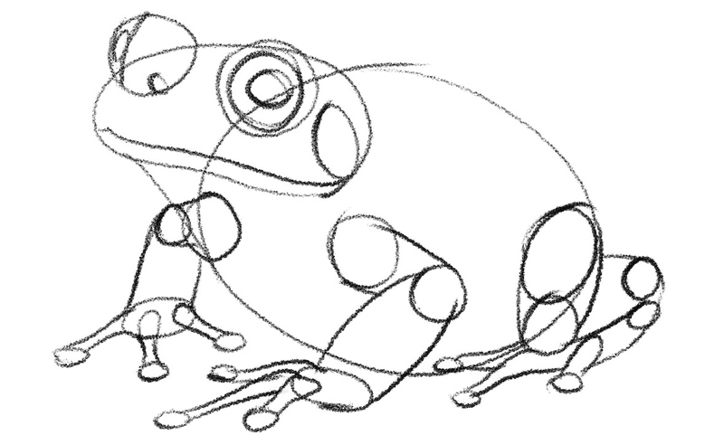 Details added to the frog’s head. ​