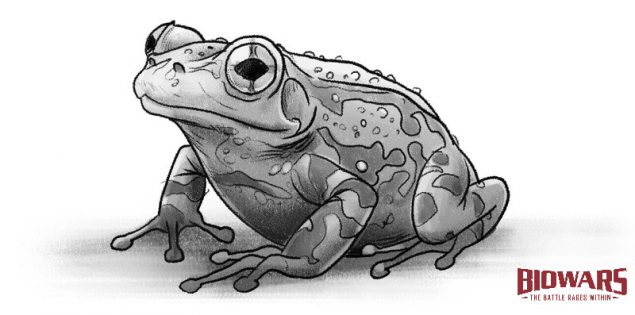 Finished drawing of a frog. Image used in the “Frog Drawing Guide: 5 Simple Steps [Video + Illustrations]” blog post.